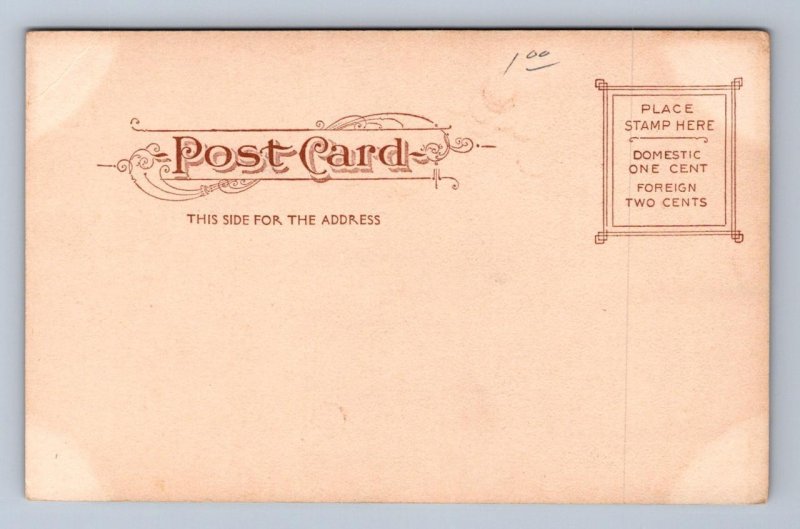 DE SOTA PARK TAMPA FLORIDA POSTCARD (c.1905)