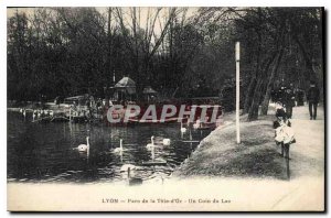 Old Postcard Lyon's Tete d'Or Park A Corner of the Lake