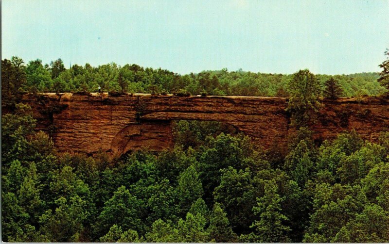 Natural Bridge State Park Slade Kentucky Tourist Outdoors Postcard Vtg Unp 