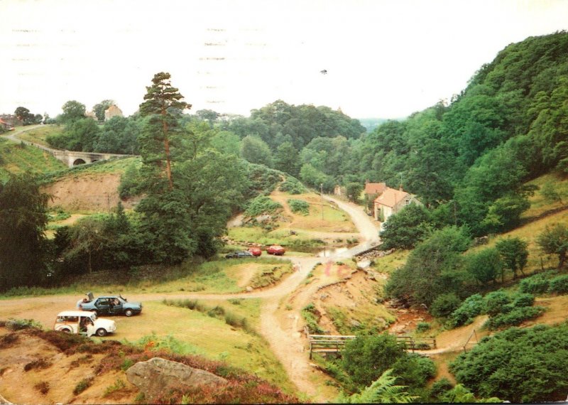 England North York Moors Goathland Darnholm 1993