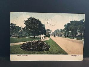 Postcard 1907 View of Drexel Boulevard in  Chicago, IL   T4