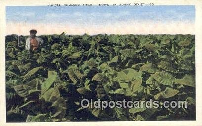 Tobacco Field - Misc, Alabama AL