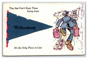 Applied Felt Pennant Comic Add-on Wallaceburg Ontario Canada DB Postcard K16