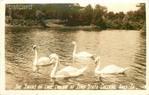 IA, Ames, Iowa State College, Lake Laverne, Swans, No. 15, RPPC