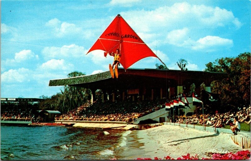 Cypress Gardens Stadium Photo Pier Water Ski Show Tourist Shoreline Postcard UNP 