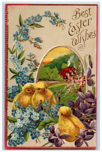 c1910's Easter Chicks Egg Pansies Flowers Embossed Posted Antique Postcard