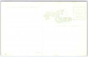 Vintage Bridge at Sulphur Springs Tampa Florida c1910 Postcard