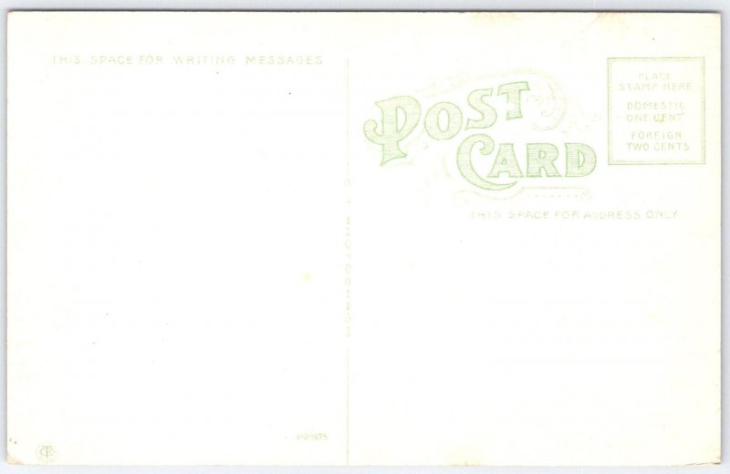 Vintage Bridge at Sulphur Springs Tampa Florida c1910 Postcard