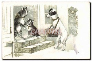 Old Postcard Cat Kitten Cats Dog