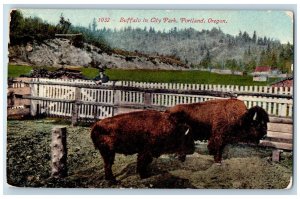 Portland Oregon OR Postcard Buffalo In City Park Fences Scene c1910s Antique