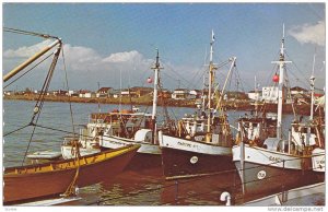 Fishing Fleet At The Old Sept-Iles Pier, Sept-Iles, Quebec, Canada, PU-1986