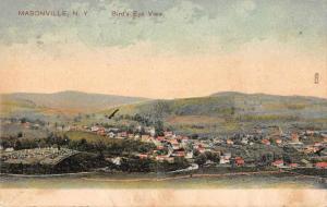 Masonville New York Birds Eye View Antique Postcard J60617