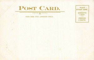 Susquehanna River Baltimore & Ohio Railroad Postcard