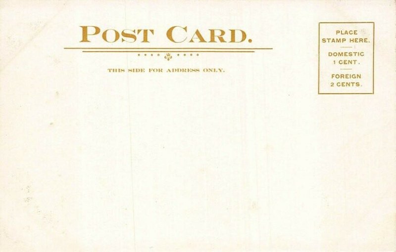 Susquehanna River Baltimore & Ohio Railroad Postcard