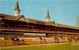 Thoroughbreds parading to starting post, Churchill Downs Louisville, KY , USA...