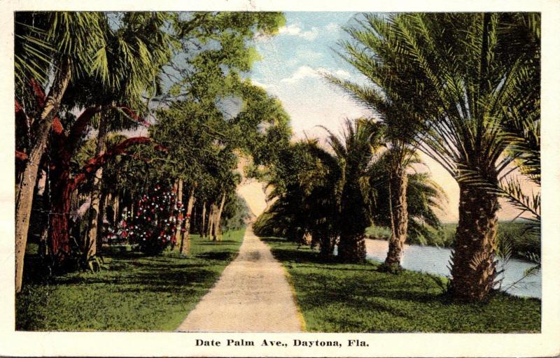 Florida Daytona Date Palm Avenue 1916