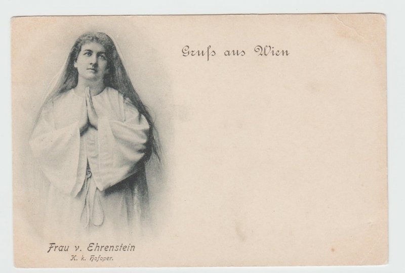 Vintage Postcard Gruss aus Wien 1897 Frau V. Ehrenstein Vienna Austria