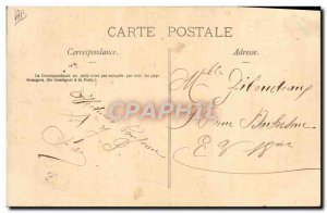 Old Postcard Bear In Paris botanical garden Small brown bears Martin groin Fe...