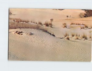 Postcard Desert Panorama, Desert Of Maine, Freeport, Maine