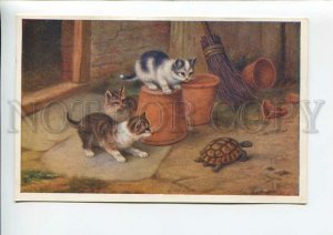 3185461 KITTENS Cat playing w/ TURTLE by E. HUNT Vintage PC