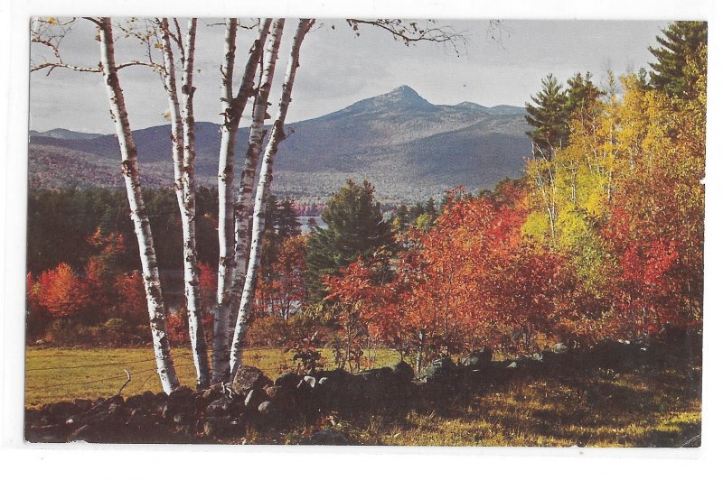 NH Mt Chocorua Winston Pote Autumn Landscape Vintage New Hampshire Postcard