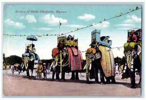 Mysuru India Postcard Groups of State Elephants c1910 Unposted Antique