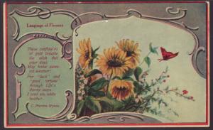 Language of Flowers,Sunflowers Postcard