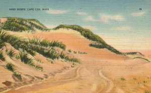 Vintage Postcard Sand Dunes Cape Cod Massachusetts MA Tichnor Quality News Pub.