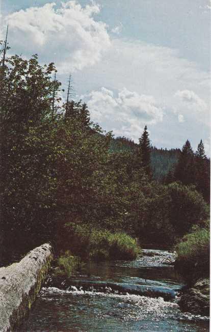 Carpenter Creek near St Maries, Idaho