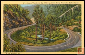Scene of Newfound Gap Highway, Great Smoky Mountains National Park
