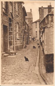 Black Cats in English Lane, St. Ives, England, Cornwall, UK, 1920's, Children