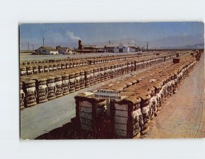 Postcard Bales Of Cotton, San Joaquin Valley, California