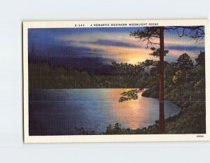 Postcard A Romantic Southern Moonlight Scene USA