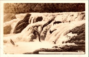 RPPC Salmon Upstream Flight, Columbia River OR Vintage Postcard K45