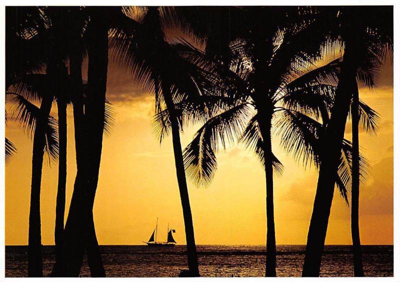 Usa Hawaii Palm Trees Sunset Pirate Boat Bateau Coucher De