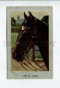 3156544 Head of HORSE by VEIT Vintage Color PÑ