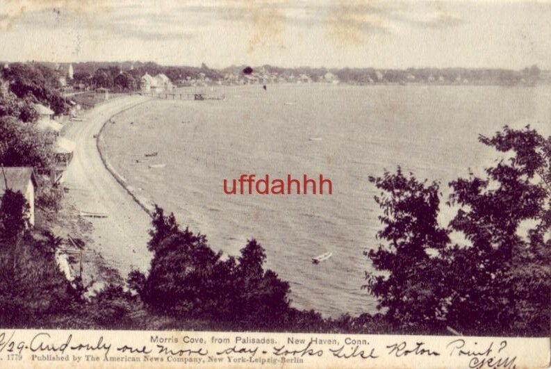 PRE-1907 MORRIS COVE FROM PALISADES NEW HAVEN, CT 1905