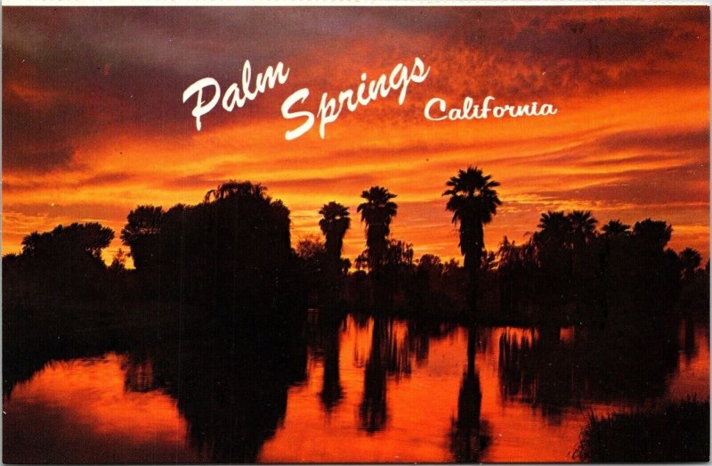 Palm Springs CA California Sunset VTG Postcard UNP Petley Unused Vintage Chrome 