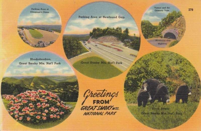 GREAT SMOKY MTS. NATIONAL PARK, 1930-40s; 5-Views, Black Bears, Tunnel, Parking