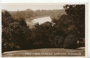 Surrey Postcard - View From Terrace Gardens, Richmond  TZ1742