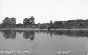 Jordan New York Cottages on Jones Point Real Photo Vintage Postcard AA44705