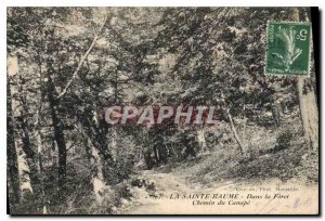 Old Postcard La Sainte Baume In the Forest Path Canape