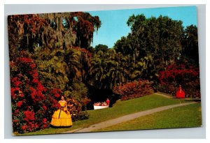 Vintage 1960's Advertising Postcard Rowboat Cypress Gardens Winter Haven Florida