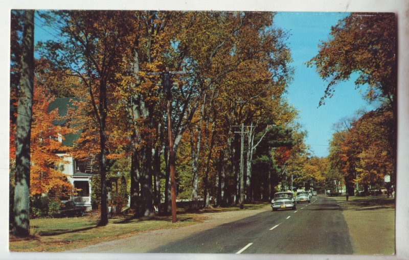 P1203 vintage unused postcard greeting from fryeburg maine, old cars street view