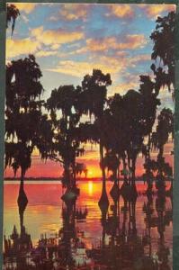 USA FLORIDA POSTCARD 36466 CYPRESS GARDEN ORMOND BEACH GO...