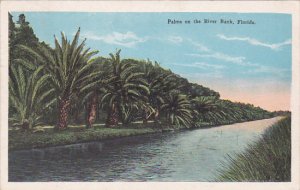 Florida Palm Beach Palms On The River Bank 1930