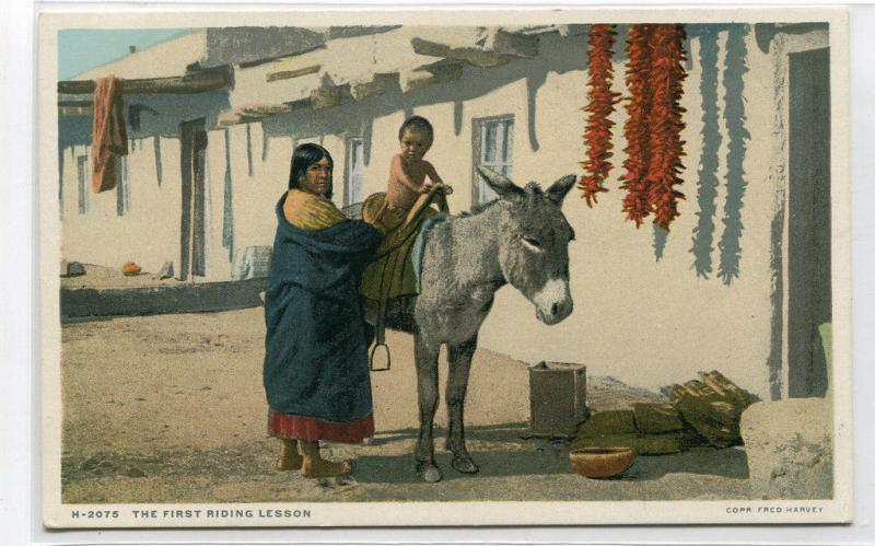 Hopi Native American Indian Woman Child Burro Arizona Fred Harvey postcard