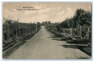 c1910 Avenida Del Jardin Botanico Montevideo Uruguay Antique Postcard