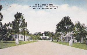 Florida St Petersburg Pine Acres Motel