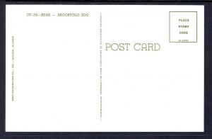 Bear,Brookfield Zoo,Brookfield,IL